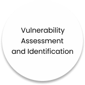 vulnerability Assessment and identification