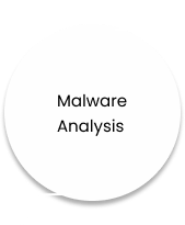 malware analysis