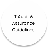 IT audit & Assurance Guidelines