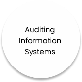 Audting Information systems