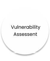 vulnerability assessment