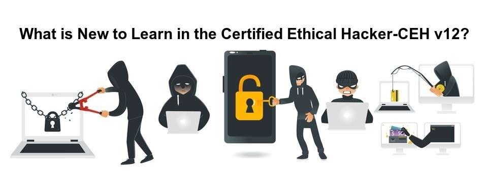 Certified Ethical Hacker training - CEH v12?